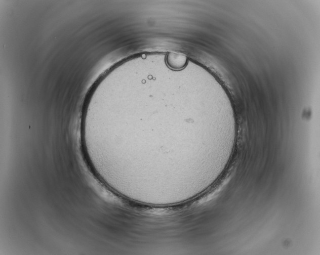 X0000102041130200808011504