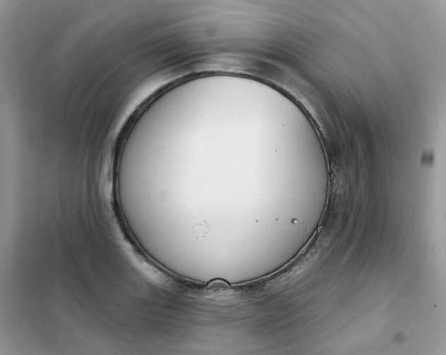 X0000102041131200808011504