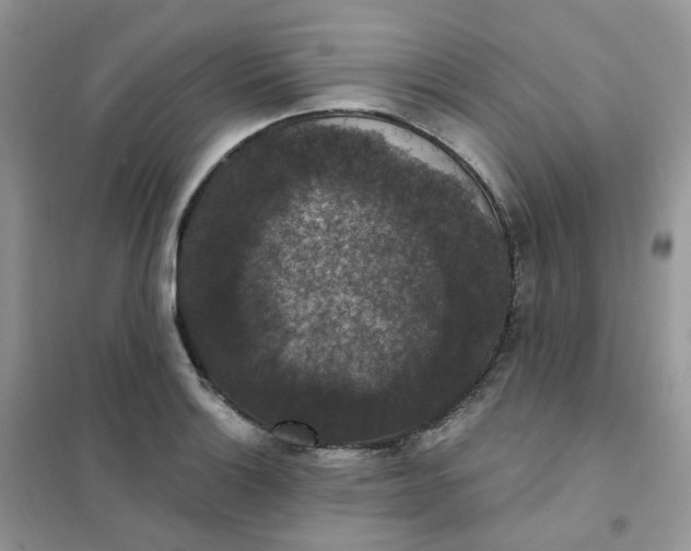 X0000102041132200808011504