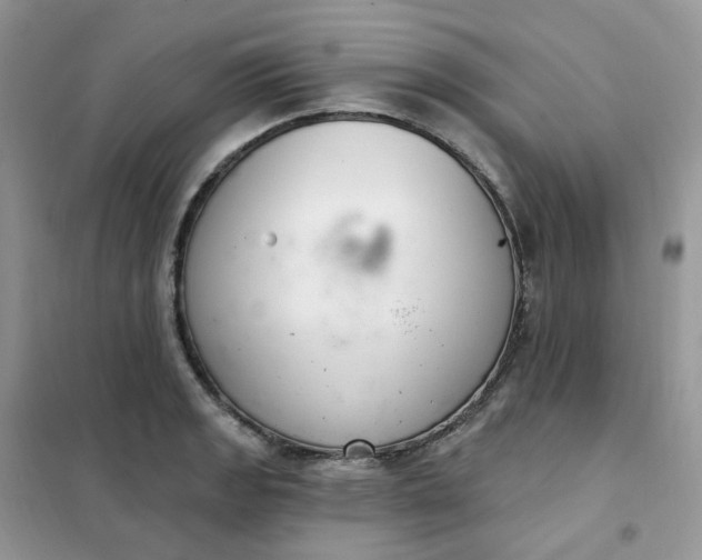 X0000102041133200808011504