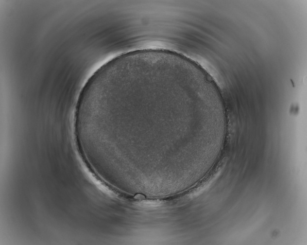 X0000102041134200808011504