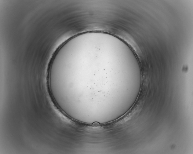 X0000102041135200808011504