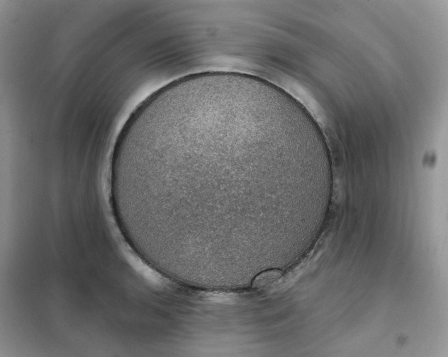 X0000102041136200808011504