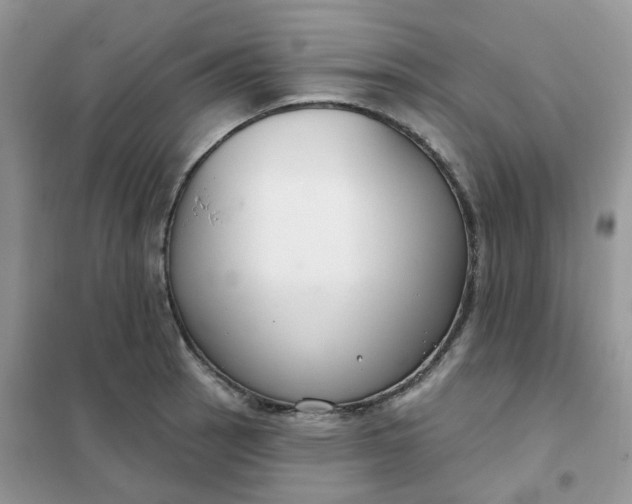 X0000102041137200808011504