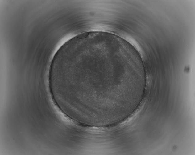 X0000102041138200808011504