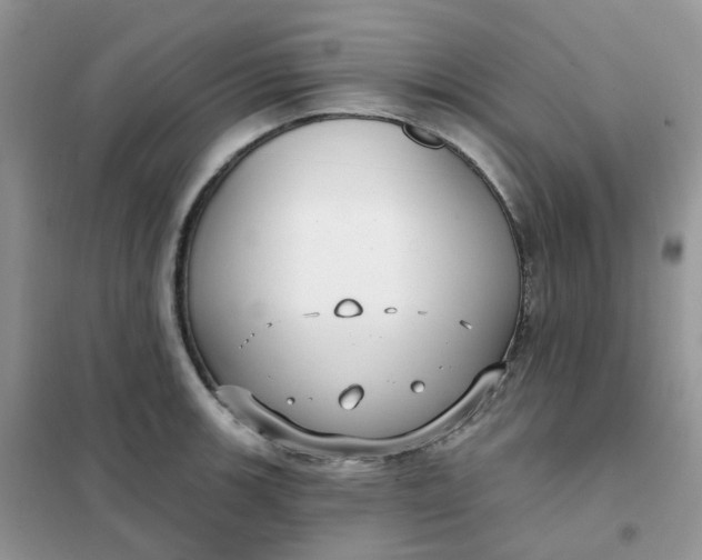 X0000102041139200808011504