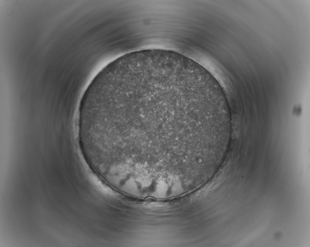 X0000102041140200808011504