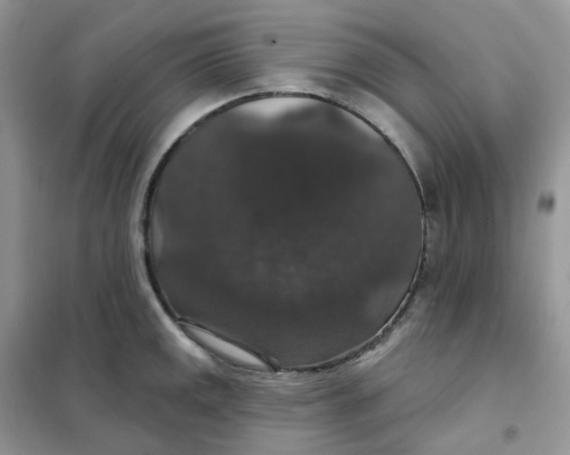 X0000102041141200808011504