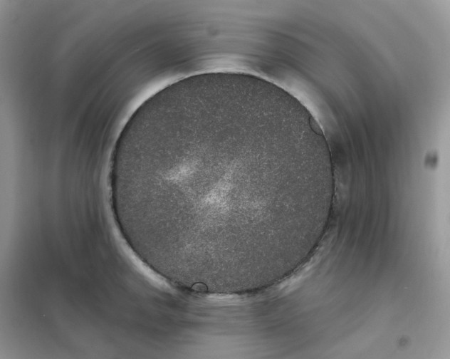 X0000102041142200808011504