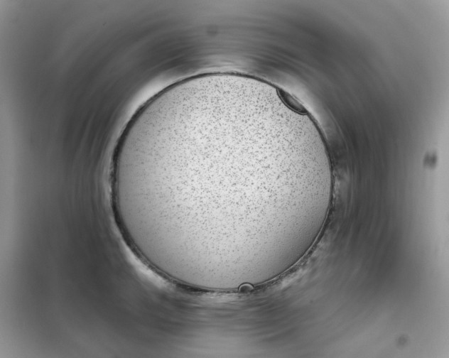 X0000102041143200808011504