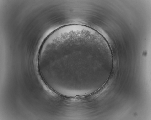 X0000102041144200808011504