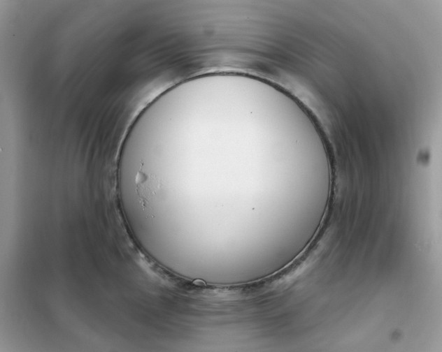 X0000102041145200808011504