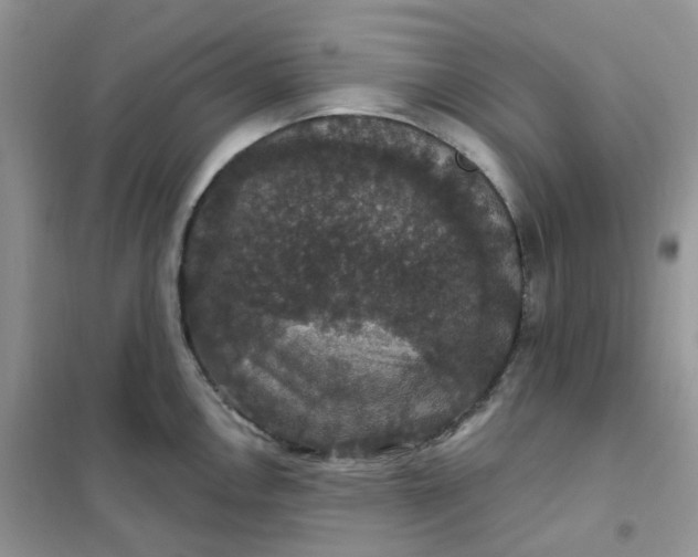 X0000102041146200808011504