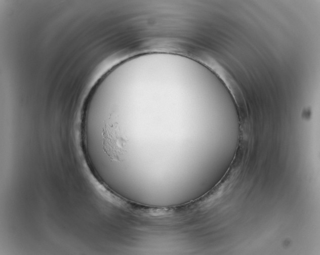 X0000102041147200808011504