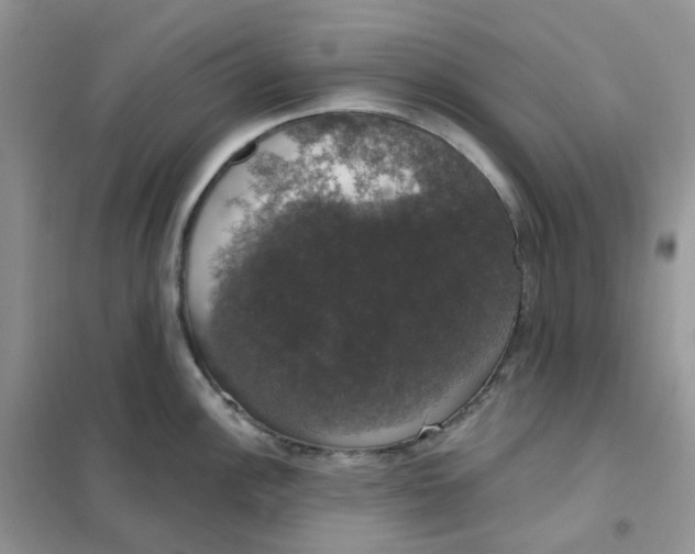 X0000102041148200808011504