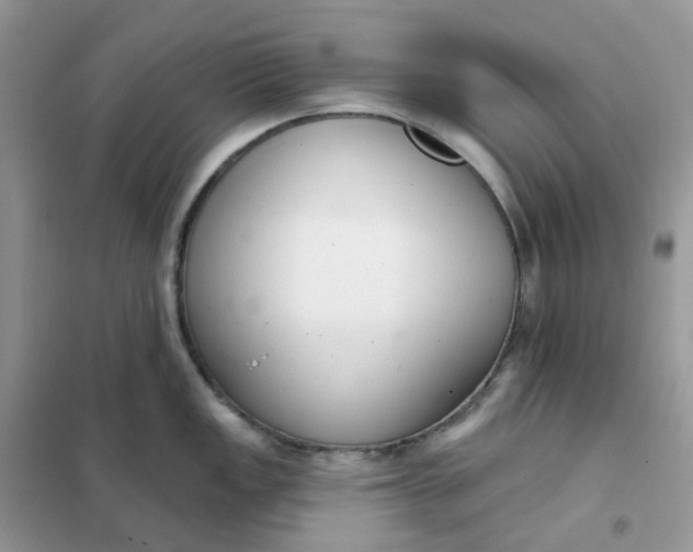 X0000102041149200808011504