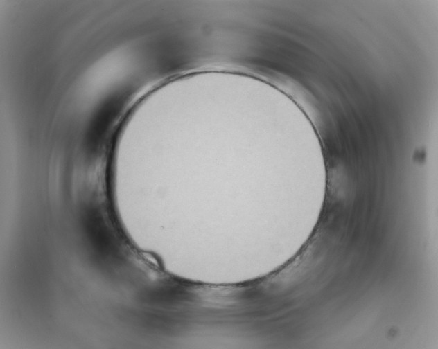 X0000102041150200808011505