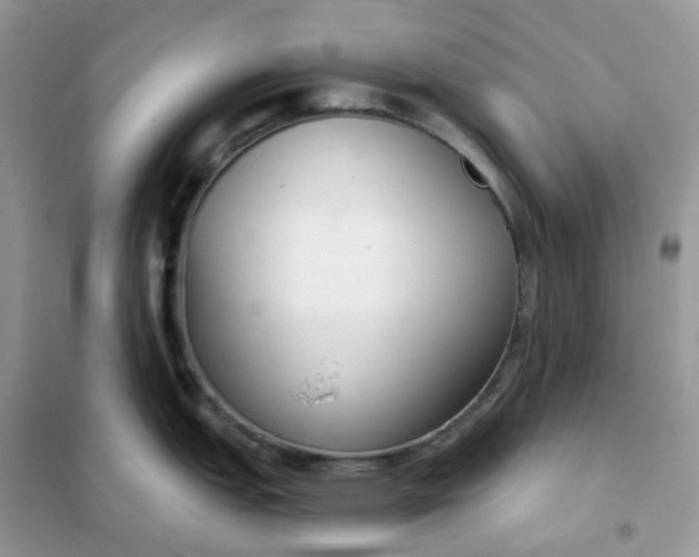 X0000102041151200808011505