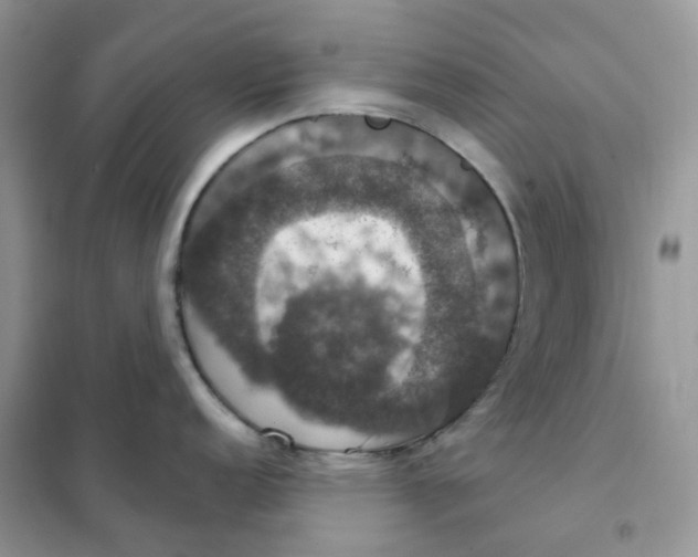 X0000102041152200808011505