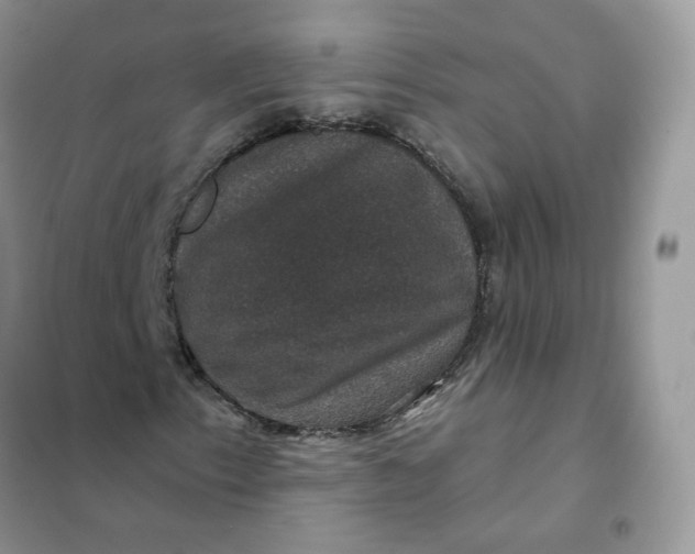 X0000102041153200808011504