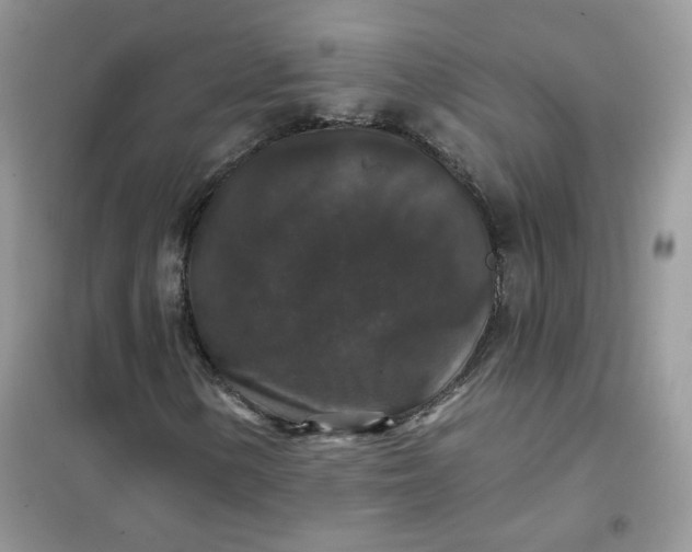 X0000102041154200808011504