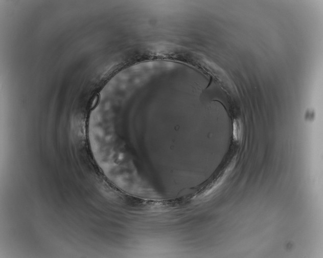 X0000102041155200808011504