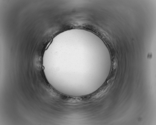 X0000102041156200808011504