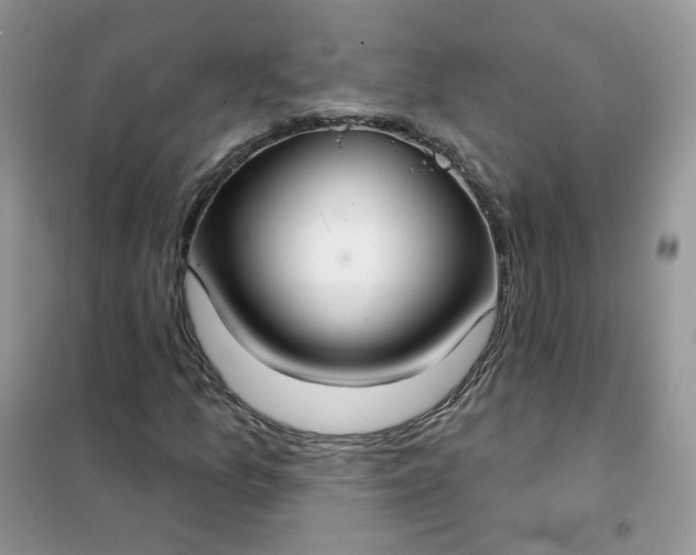 X0000102041157200808011504