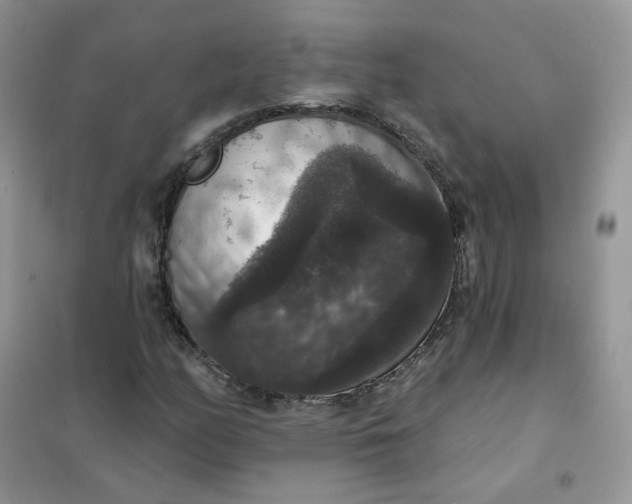 X0000102041158200808011504