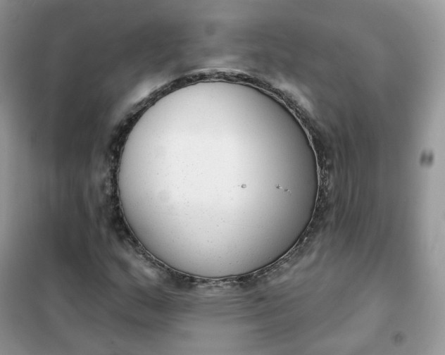 X0000102041159200808011504