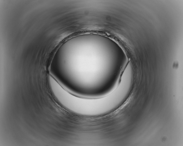 X0000102041161200808011504