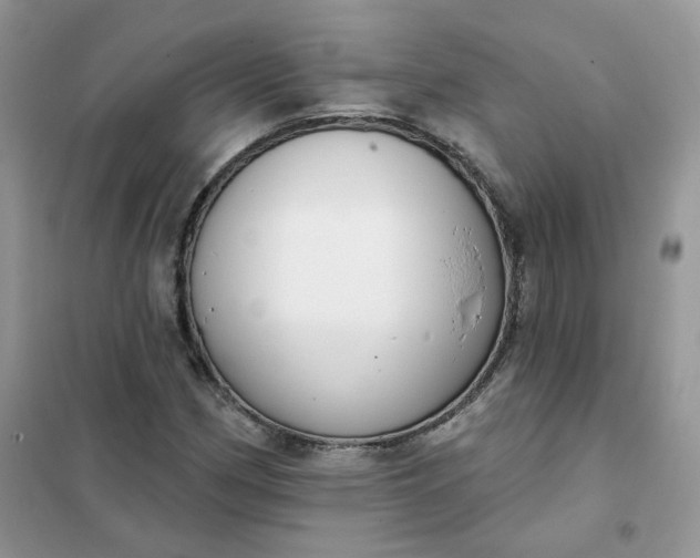 X0000102041162200808011504