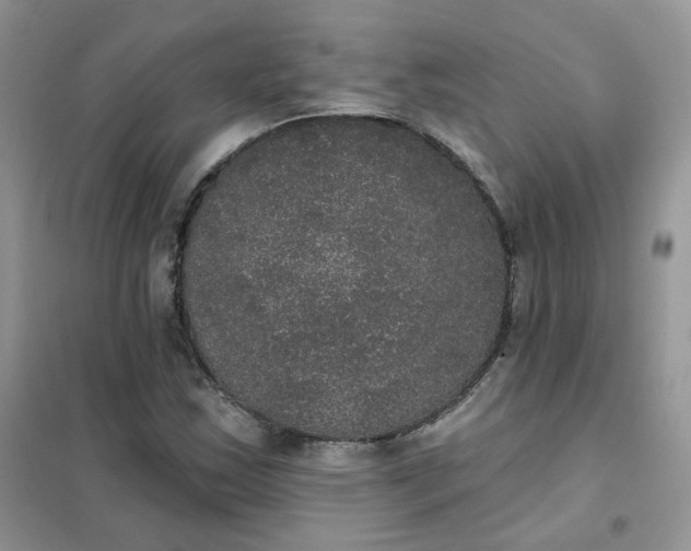 X0000102041163200808011504