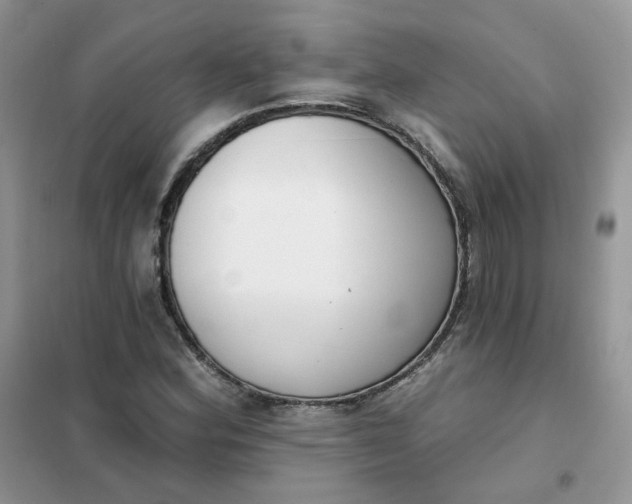 X0000102041164200808011504