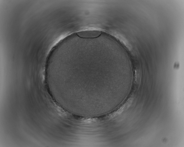 X0000102041165200808011503