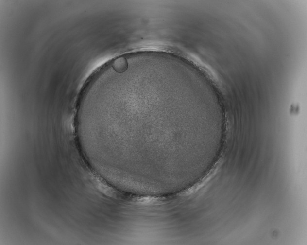 X0000102041166200808011503