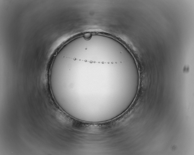 X0000102041167200808011503