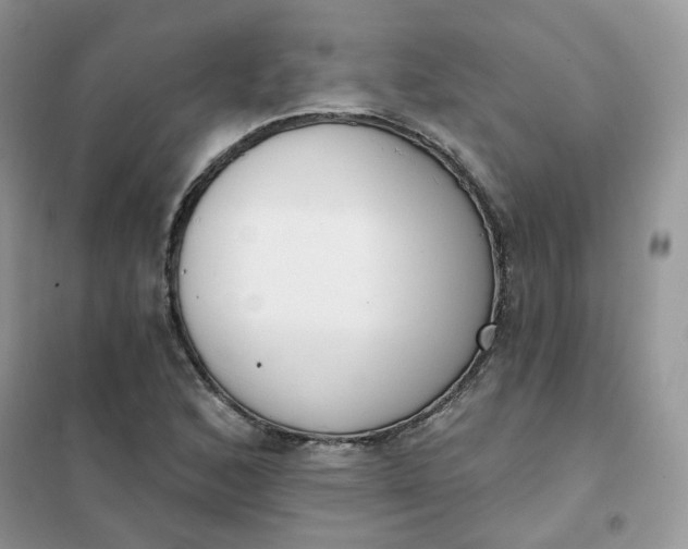 X0000102041168200808011503