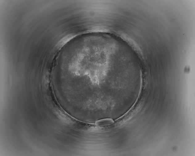 X0000102041169200808011503