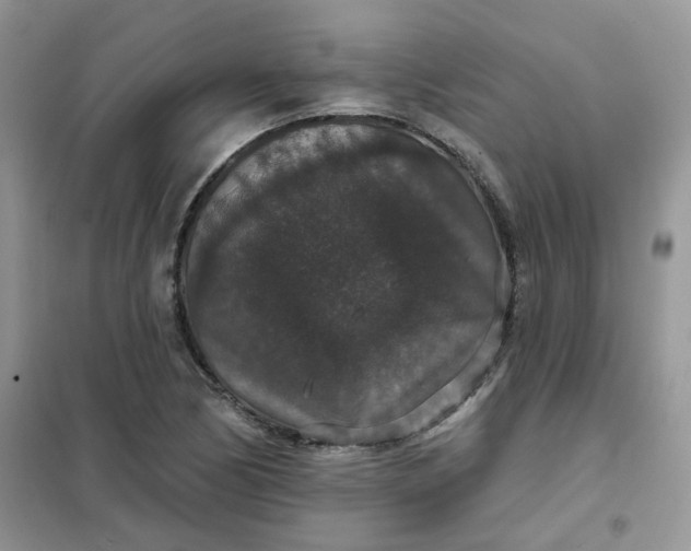 X0000102041170200808011503