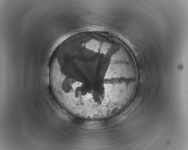 X0000102041171200808011503