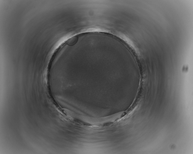 X0000102041173200808011503