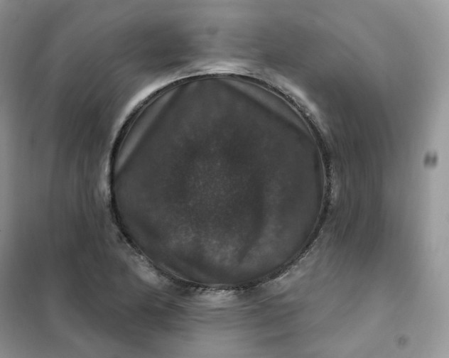 X0000102041174200808011503