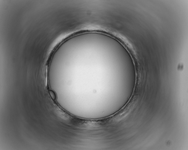 X0000102041175200808011503