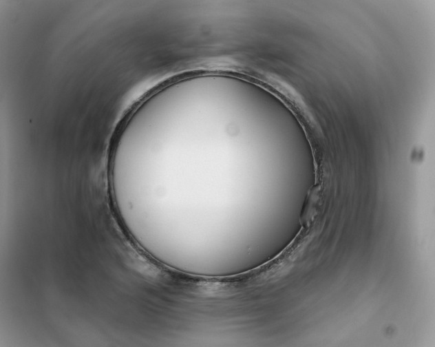 X0000102041176200808011503