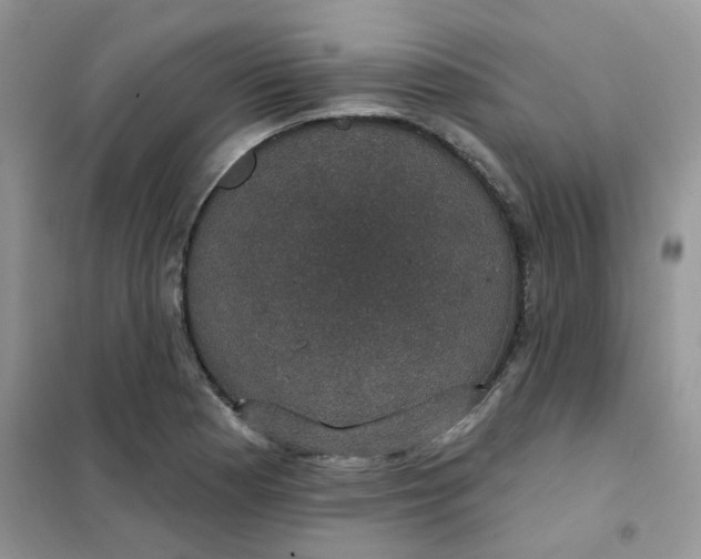 X0000102041177200808011503