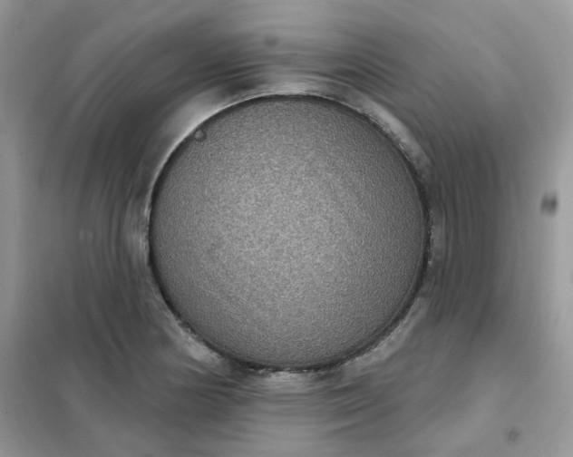 X0000102041178200808011503