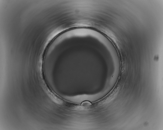 X0000102041179200808011503