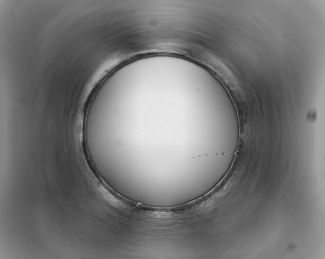 X0000102041180200808011503