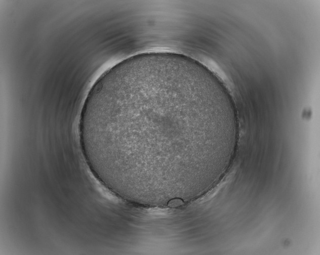 X0000102041181200808011503